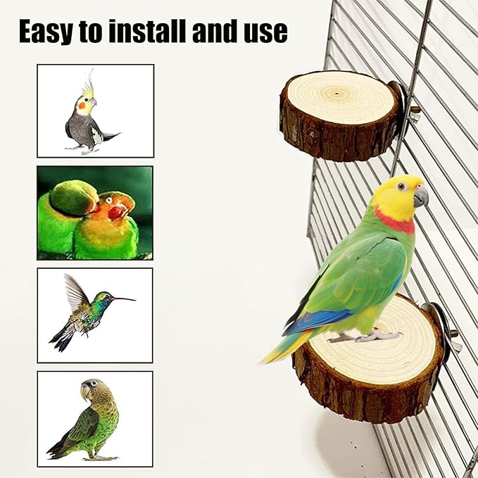 Allazone 10 PCS Natural Parrot Perch Bird Cage Accessories, Bird Platforms, Wood Stands, Grinding Fork Parakeet Platform for Small Lovebirds Budgies Cockatiels-PawvioPets