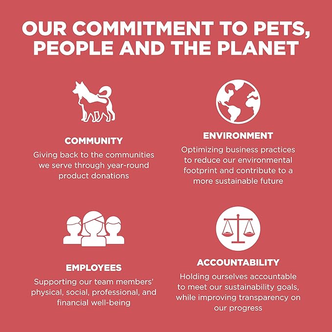 Go! Solutions Sensitivities Limited Ingredient, Grain-Free Dry Cat Food, Salmon Recipe for Sensitive Stomach, 6 lb Bag-PawvioPets