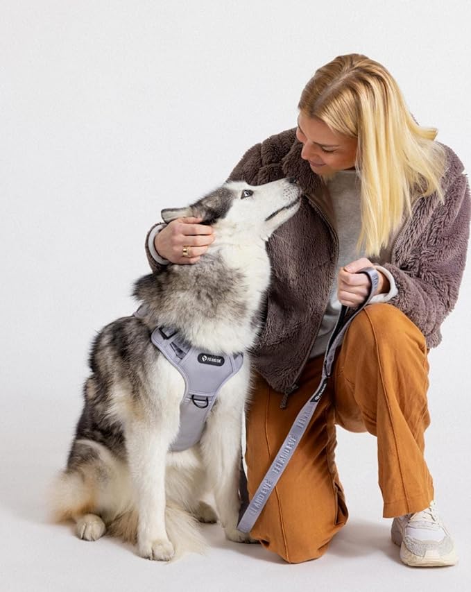 2025 New Edition, Fei & Eve MagEase Dog Harness - 3-Second Magnetic Buckles | 3-Point No-Pull Control | Heavy-Duty 900D Nylon | Dual Safety Handles | Breathable Mesh | Adjustable Fit | Medium, Gray-PawvioPets