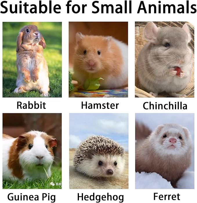 BNOSDM Rabbit Grinding Claw Pads Natural Hamster Lava Stone Teeth Grinding Scratching Pad Chew Toy for Small Animals-PawvioPets