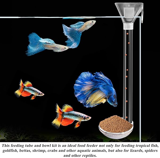 Aquarium Fish Shrimp Feeding Dish Set, Shrimp Feeding Dish Set, Transparent Shrimp Feeding Adjustable Tube with Feeding Ring, Cleaning Brush for Fish Tank and Preventing Food Scattering (Large)-PawvioPets