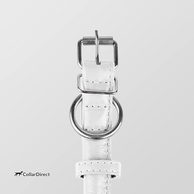 CollarDirect Rolled Leather Dog Collar, Soft Padded Round Puppy Collar, Handmade Genuine Leather Collar Dog Small Large Cat Collars 13 Colors (6 Inch, White Textured)-PawvioPets