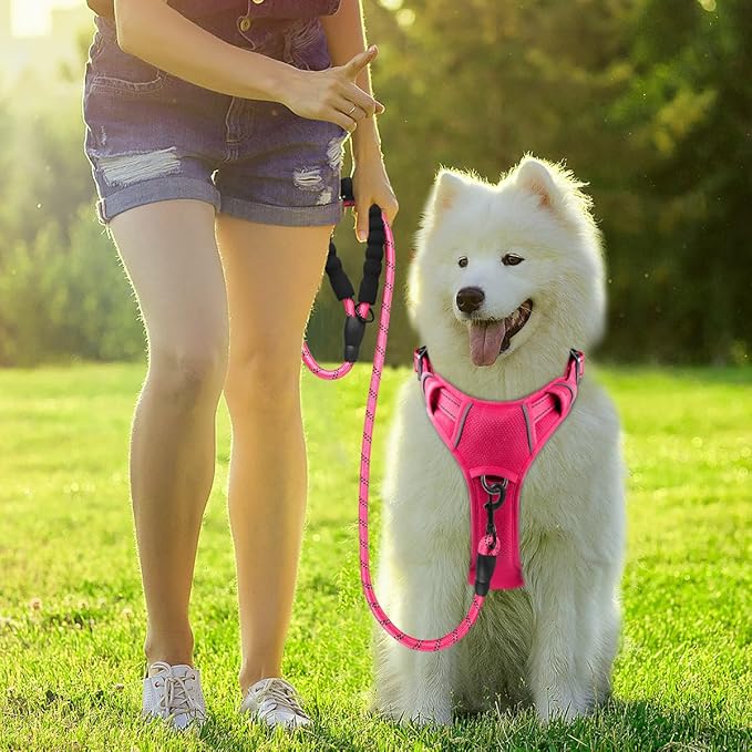 BARKBAY Dog Harness No Pull with ID Tag Pocket - Heavy Duty, Reflective, Easy Control for Large Dogs(Pink,L)-PawvioPets