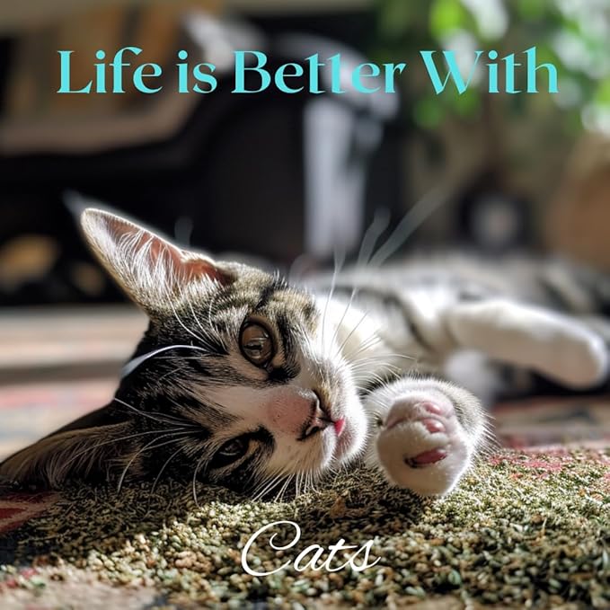 1oz Cat Nip for Cats, Turbo Charging Blend for Refillable Catnip Toys, 100% Essential Natural Cat Weed Treat, Non-Addictive, Enhancing Play for Indoor Cats-PawvioPets