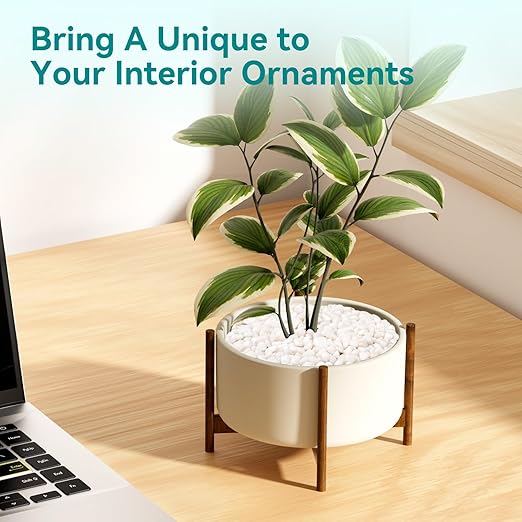 5 lbs Small White Rocks for Planters, 3/8" White Pebbles for Vases, Decorative Small Stones for Plants, Succulents, Bamboo, Terrarium, Landscape, Garden-PawvioPets