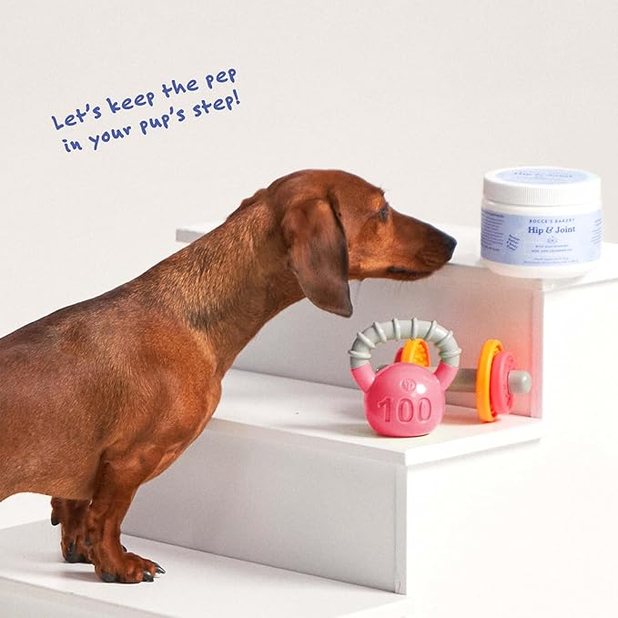 Bocce's Bakery Hip & Joint Supplement for Dogs, Daily Chews Made in The USA with Glucosamine, MSM, and Chondroitin, Supports Healthy Joints, Peanut Butter & Honey, 60 ct-PawvioPets