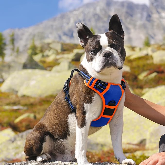 Eagloo Dog Harness for Large Dogs, No Pull Service Vest with Reflective Strips and Control Handle, Adjustable and Comfortable for Walking, No Choke Harness with 2 Metal Rings, Blue & Orange, M-PawvioPets