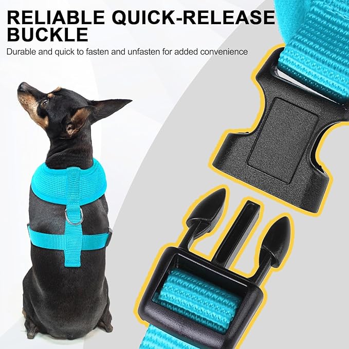 BINGPET No Pull Dog Harness,Soft Mesh Breathable All Weather Vest Harness,Safety Protection Design Durable Adjustable Step-in Easy Walk Dog Harness for Small Medium Large Dogs(RoyalBlue,XS)-PawvioPets
