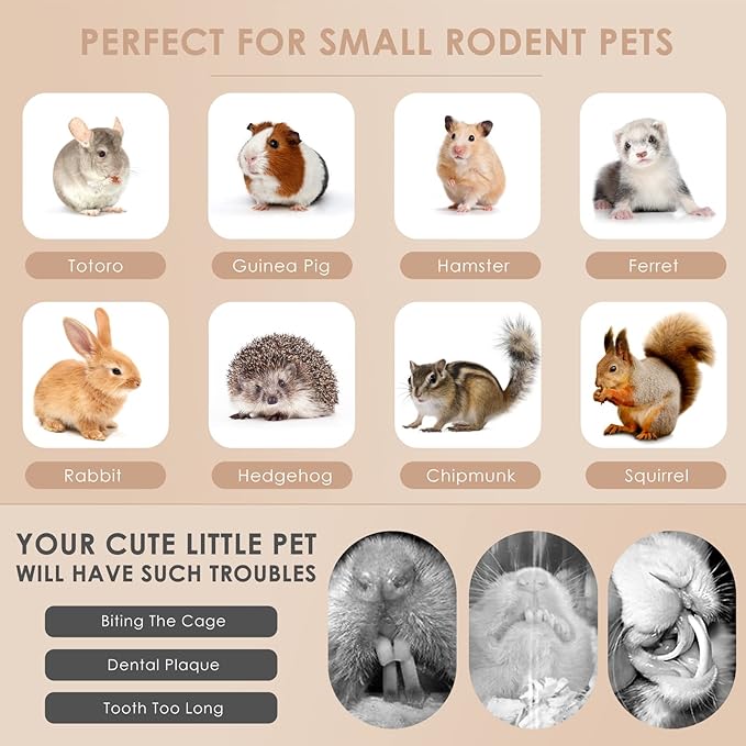 Bissap Timothy Hay Sticks for Rabbits 38PCS, Natural Timothy Grass Molar Teeth Stick Chew Toys for Bunnies Chinchillas Guinea Pigs Hamsters and Other Small Animals Treats-PawvioPets