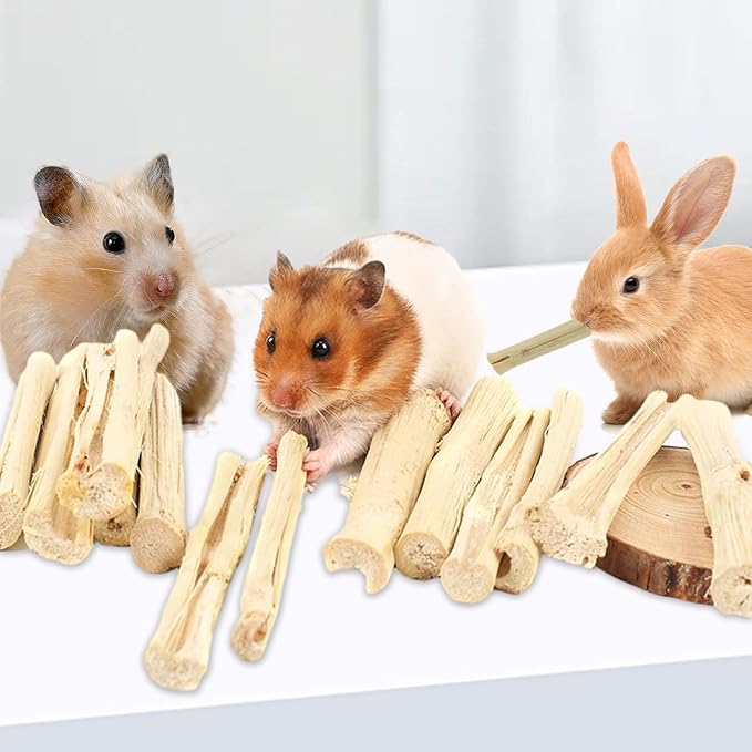 1000g/2.2lb Sweet Bamboo Sticks for Rabbits, Guinea Pig Chew Toys Bunny Toys for Rabbits Indoor, Teething Toy for Small Animals Rabbits, Hamsters, Chinchillas, Guinea Pigs-PawvioPets