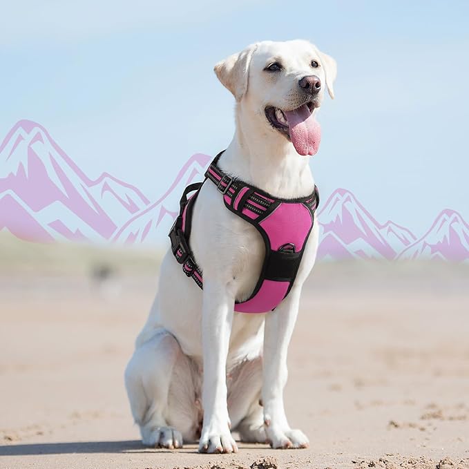 Eagloo Dog Harness for Large Dogs, No Pull Service Vest with Reflective Strips and Control Handle, Adjustable and Comfortable for Easy Walking, No Choke Pet Harness with 2 Metal Rings, Rose Red, L-PawvioPets
