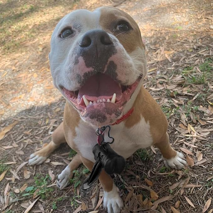 Best Pet Supplies Dog Poop Bags (360 Bags) for Waste Refuse Cleanup, Doggy Roll Replacements for Outdoor Puppy Walking and Travel, Leak Proof and Tear Resistant, Thick Plastic - Black-PawvioPets