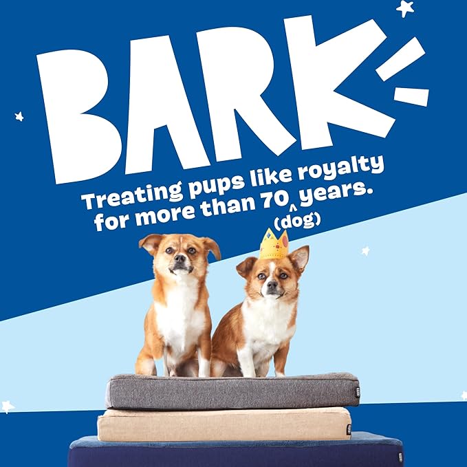 Barkbox Orthopedic Dog Bed with Memory Foam, Premium Comfort for Dogs and Puppies, Dog Bed for Joint Relief and Restful Sleep, Durable and Easy to Clean - Grey, Small-PawvioPets