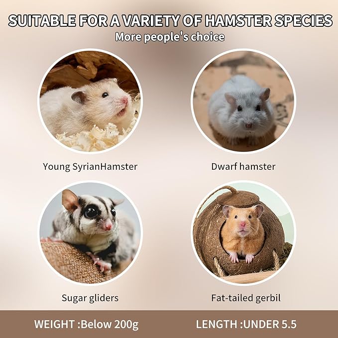 3-in-1 Bear Shaped Ceramic Hamster House - Cool House for Syrian Dwarf Hamsters, Mice, Gerbils, Small Pets, Top for Hamster Food, Removable Lid for Ice Packs, Cute Cool Hideout for Summer(Pink)-PawvioPets