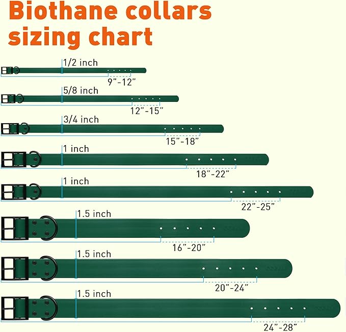 Dogline Biothane Waterproof Dog Collar Strong Coated Nylon Webbing with Black Hardware Odor- Proof for Easy Care Easy to Clean High Performance Fits Small Medium or Large Dogs, Hunter Green-PawvioPets