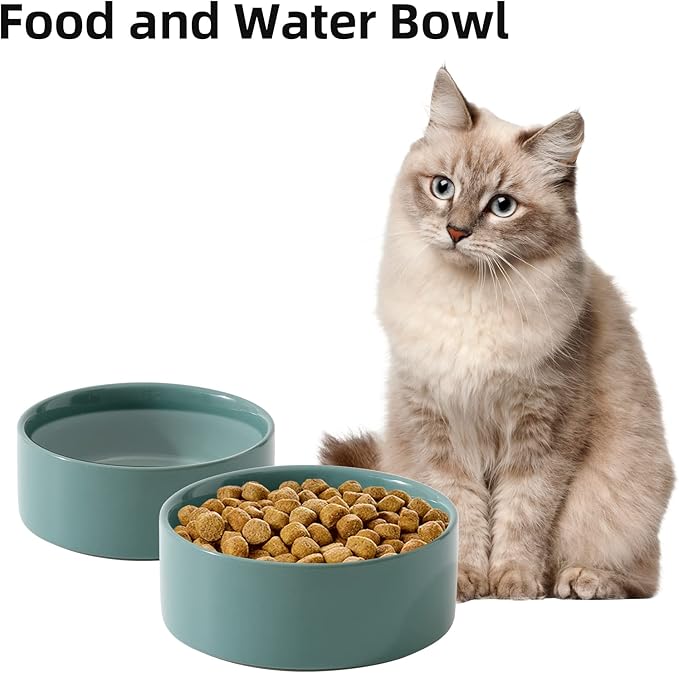 Ceramic Set of 2 Cat Bowls, Food and Water Bowls for Cats, Kitty, 2pcs Cat Dishes, Pet Feeder(5.1inch, 2 x Light Green Bowls)-PawvioPets