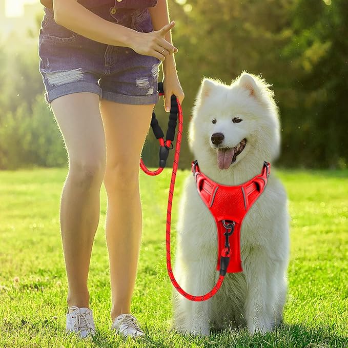 BARKBAY Dog Harness No Pull with ID Tag Pocket - Heavy Duty, Reflective, Easy Control for Large Dogs(Red,S)-PawvioPets