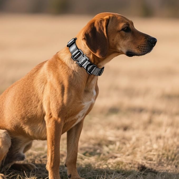 AirTag Dog Collar - Leather Dog Collar with Airtag Holder | IP68 Waterproof AirTag Holder with Metal Buckle, Comfortable GPS Dog Collars Tracker for Medium Large Dogs (Black, M)-PawvioPets