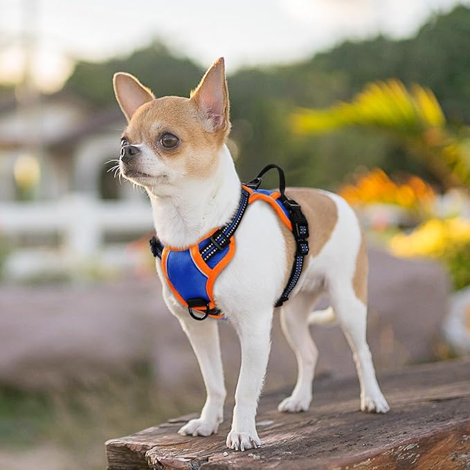 Eagloo Small Dog Harness No Pull, Service Vest with Reflective Strips and Control Handle, Adjustable and Comfortable for Walking, No Choke Pet Harness with 2 Metal Rings, Blue & Orange, XS-PawvioPets