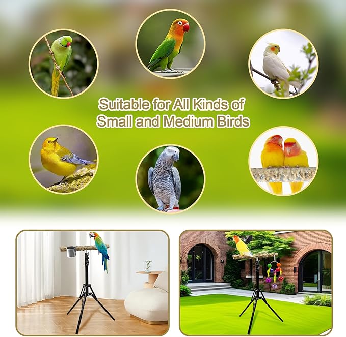 16-63 Inch Height Adjustable Bird Perch Pepper Wood Bird Training Perch Stand Parakeet Perches Indoor and Outdoor Parrot Stands for Small to Medium Bird-PawvioPets