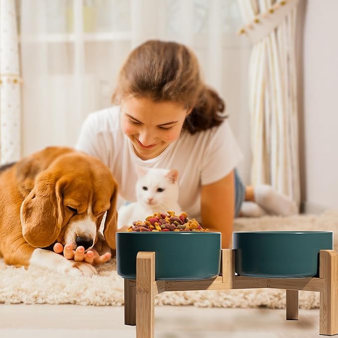 Elevated Ceramic Dog Bowl Set - Raised Dog Bowls with Non-Slip Bamboo Stand - Dog Food and Water Bowl Set - Double Dog Feeding Bowls - Suitable for Small and Medium Dogs - 28.74 OZ - 3.6 CUPS - 850 ML-PawvioPets