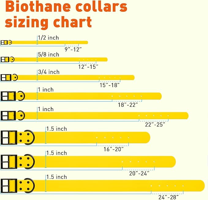 Dogline Biothane Waterproof Dog Collar Strong Coated Nylon Webbing with Black Hardware Odor- Proof for Easy Care Easy to Clean High Performance Fits Small Medium or Large Dogs, Lemon Yellow-PawvioPets