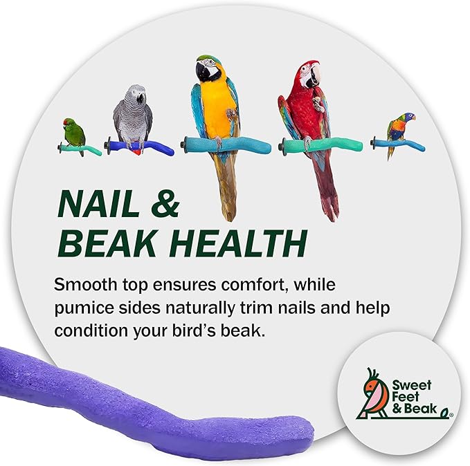 Brid Cage Safety Pumice Perch - Trims Nails and Beak - Promotes Healthy Nails and Beaks - Safe Non-Toxic Bird Supplies for Bird Cages - Large 12"-PawvioPets