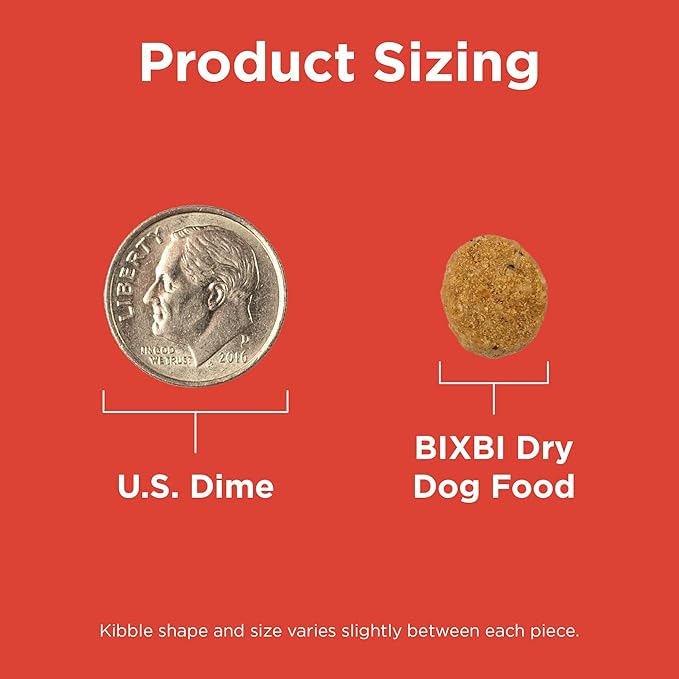 BIXBI Rawbble Dry Dog Food, Beef, 24 lbs - USA Made with No Meat Meals or Fillers - Freeze Dried Raw Coated Dog Food - Industry Leading Digestibility-PawvioPets