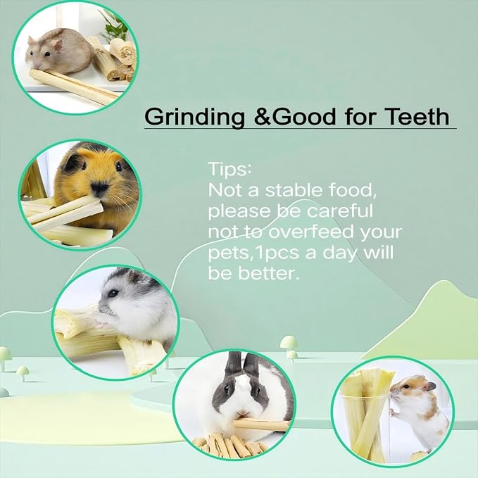 700g/1.5lb Sweet Bamboo Sticks for Rabbits Bunny Chew Toys,Chinchilla Molar Treats Chew Sticks for Small Animals Rabbits Hamsters Guinea Pigs-PawvioPets