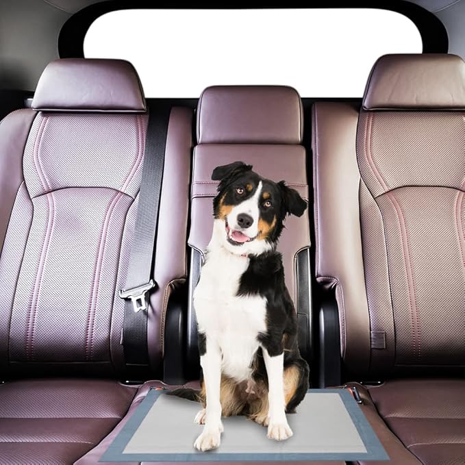 BV Puppy Pads XL 320 Count 28"x34" - Leak-Proof Pee Pads for Dogs with 6-Layer Design, Rapid Dry Sheet & Attractant - Dog Pad Extra Large with Odor Control - Perfect for Big Dogs & Indoor Use-PawvioPets