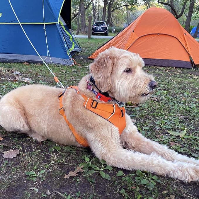 BV Dog Tie Out Cable 25 Feet - Heavy Duty Dog Lead up to 90 Pounds - Reflective & Rust-Free with Quick Release Swivel Clips & 360° Rotating Clasp - Tangle-Free Dogs Runner for Yard (Silver, Single)-PawvioPets