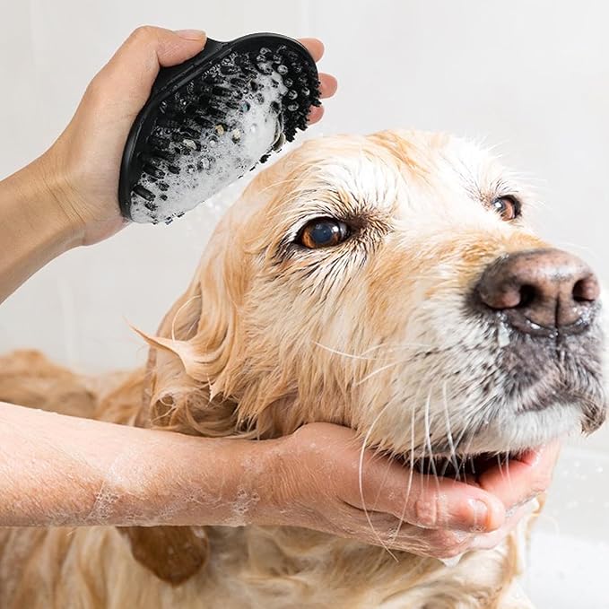 Dog Brush Kit for Grooming Short & Long Haired Dogs & Cats, 4-in-1 Pet Grooming Set with Self-Cleaning Slicker Brush, Deshedding Tool, Shampoo Bath Comb, Massge Comb (Blue Black)-PawvioPets