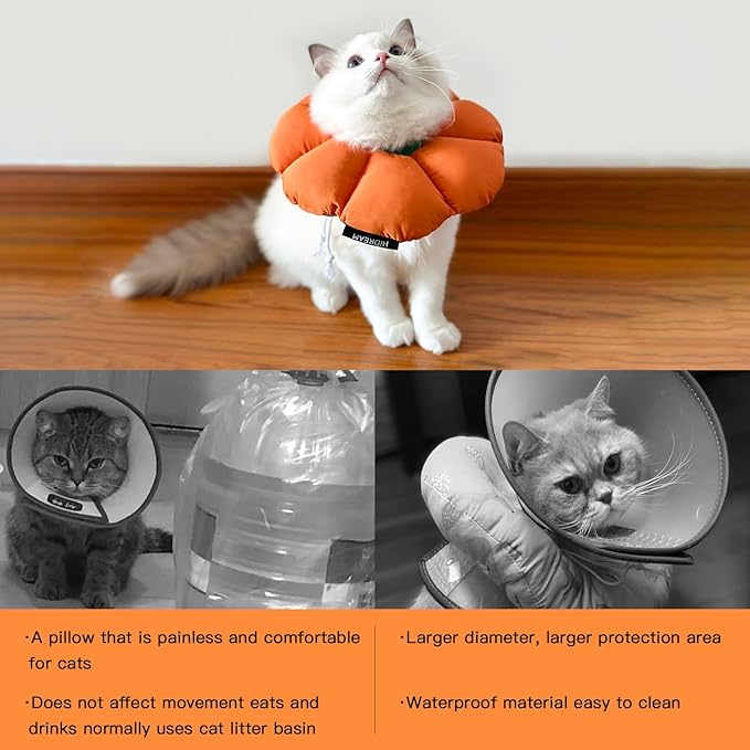 Cute Waterproof Cat Recovery Collar - Anti-Bite Lick Wound Healing Safety Elizabethan Collar - Orange Pumpkin Cat Halloween Costume-PawvioPets