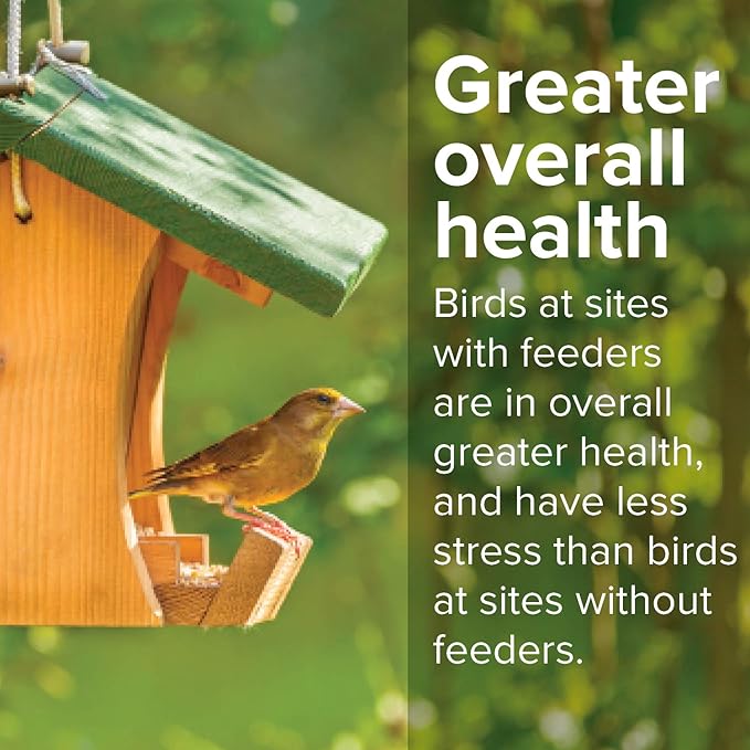 Blue Seal Nature's Choice Wild Bird Seed | High Energy Blend, Sunflower and White Safflower Seeds, No Filler | 20 Pound Bag-PawvioPets