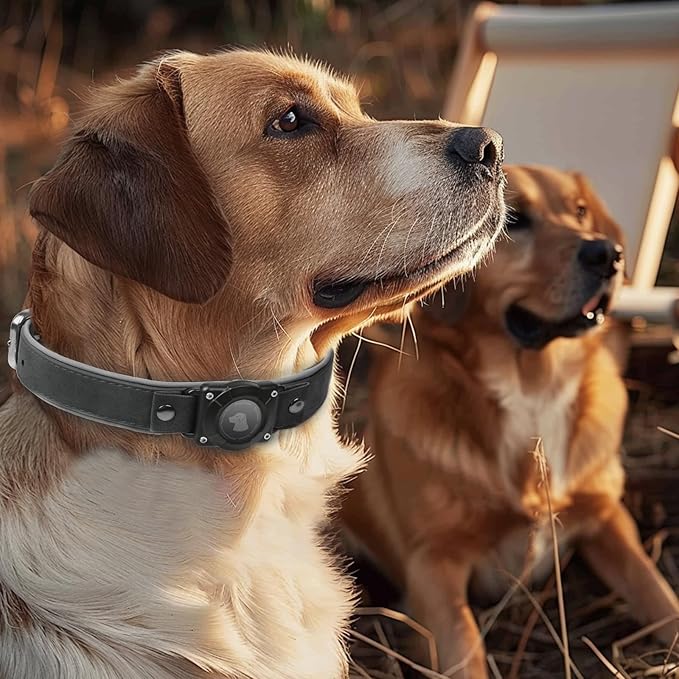 AirTag Dog Collar - Leather Dog Collar with Air Tag Holder | IPX8 Waterproof, Reflective, High - End, Adjustable Soft Padded | Dog GPS Tracker Collars Fit for Medium Large Dogs (Black, L)-PawvioPets