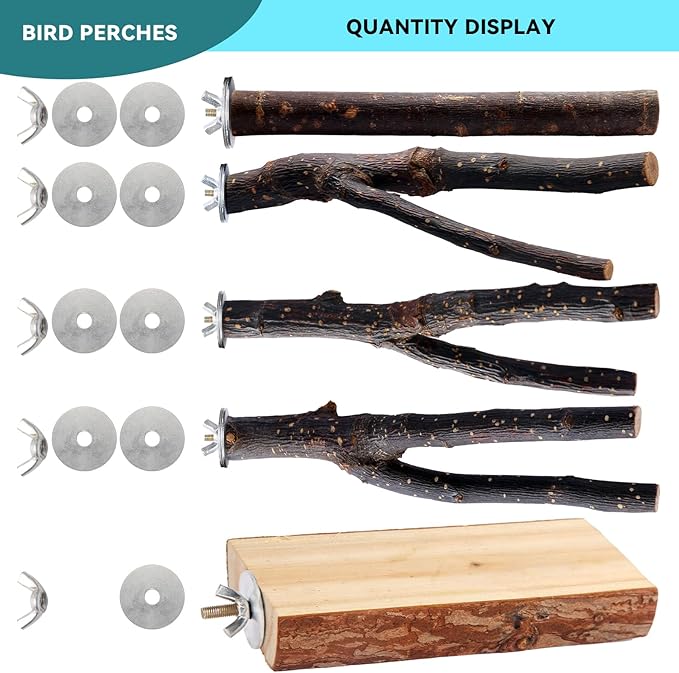 Bird Toys Parakeet Perch Budgie Perch Wood Stand Fork Toys Multi-Branch Perch Platform Toy for Small Conures,Cockatiel,Parrotlet,Lovebird,Parrot,Finches-PawvioPets