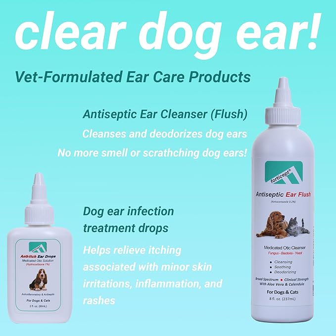 Forticept Blue Butter – Hot Spot Treatment for Dogs | Dog Wound Care | Skin Yeast Infections, Ringworm, Cuts, Rashes, First Aid Veterinary Strength Topical Ointment 4oz-PawvioPets