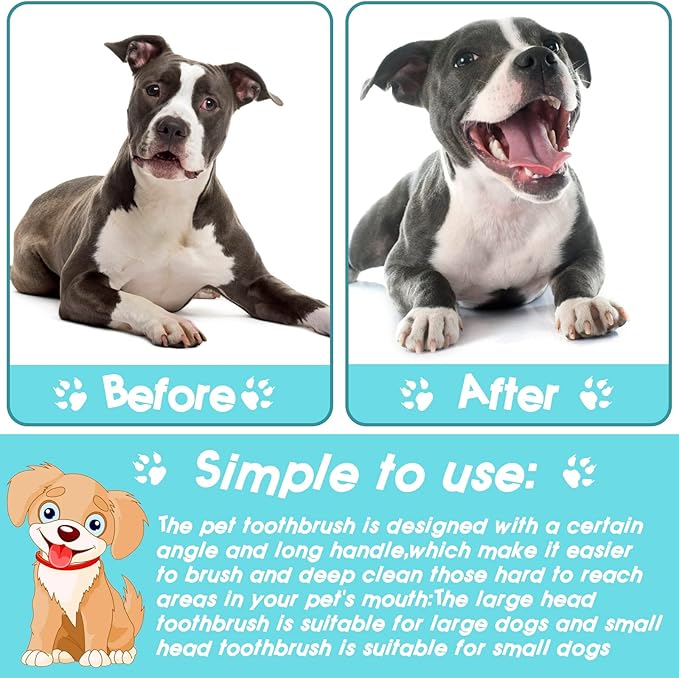 50 Pack Dual Ended Long Dog & Cat Toothbrush, Pet Safe Super Soft Bristles for Pet Dog Puppy Kitten Dental & Oral Care Teeth & Gums, Pet toothbrushes in Box, Bulk Individual polybag (Colorful)-PawvioPets