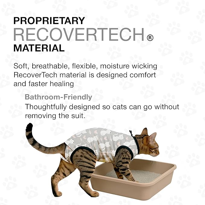 Bellyguard Cat Recovery Suit Female and Male, Comfy Onesie After Surgery, Kitten Clothes for Post-Op Care, Neuter and Spay Healing Outfits for Cats Only – Comfortable Kitten and Adult Cone Alternative-PawvioPets