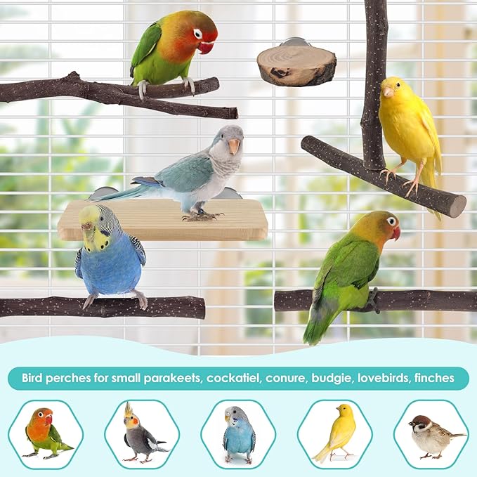 Bird Perches, 6 Pcs Natural Wood Parrot Perch Stand Chew Toys, Hanging Multi-Branch Parrot Perch Platform Swing Toy Cage Accessories for Small Parakeets, Budgies, Lovebirds, Canaries, Finches-PawvioPets
