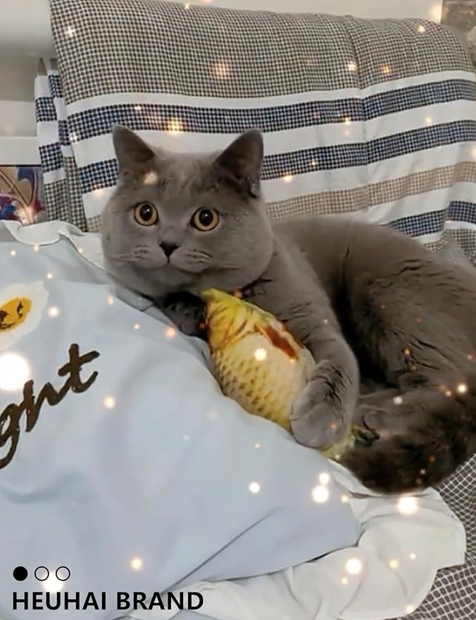 19-Piece Cat Toy Variety Pack for Kittens and Indoor Cats (1.5'' - 8.3'', Cat Toys Pro Collection)-PawvioPets