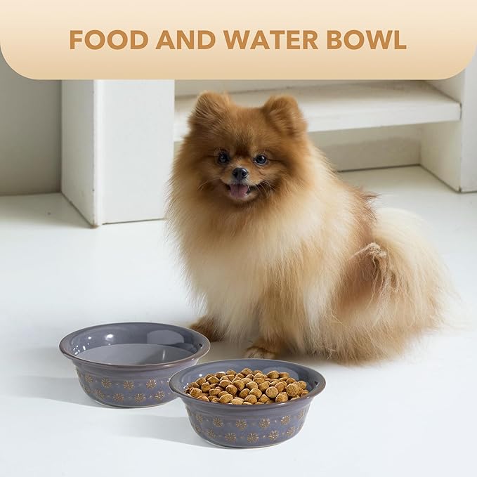 6.3inch Ceramic Set of 2 Dog Bowls, Food and Water Bowls for Small and Medium Dog, 2pcs Basic Dog Bowl, Wide Opening Rounded Edge (2 Bowls, Reactived Glaze -Grey)-PawvioPets