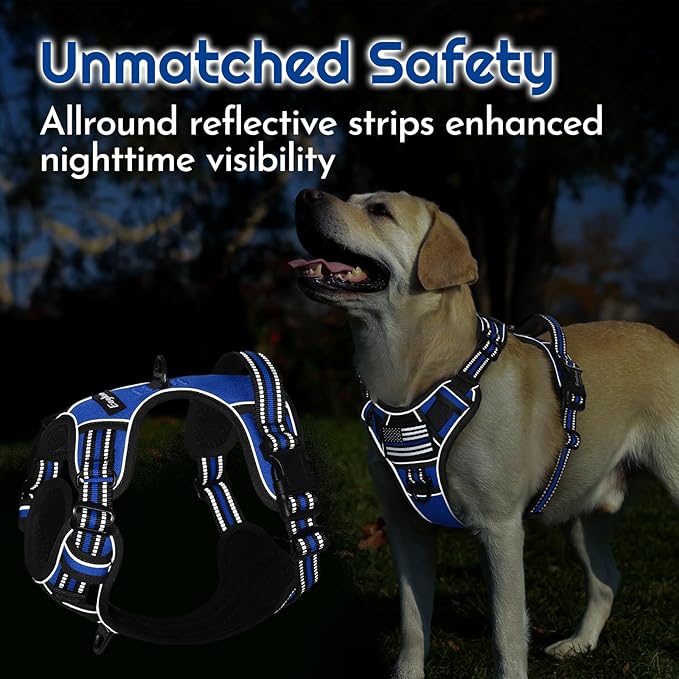 Eagloo Dog Harness for Large Dogs, Easy Wearing with 3 Buckles, Adjustable No Pull Pet Harness with 2 Rings for Walking, No Chock Reflective Soft Padded Vest with Control Handle, Blue & Black, L-PawvioPets
