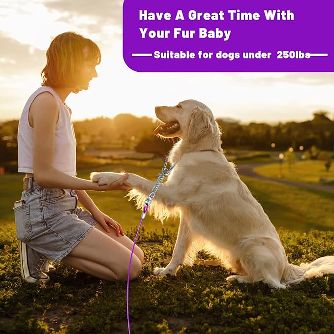 Dog Tie Out Cable - 10/15/20/25/30FT Heavy Duty for Large Dogs Up to 250LBS - Rosy Pink/Blue/Purple/Silver/Red/Green/Yellow-PawvioPets