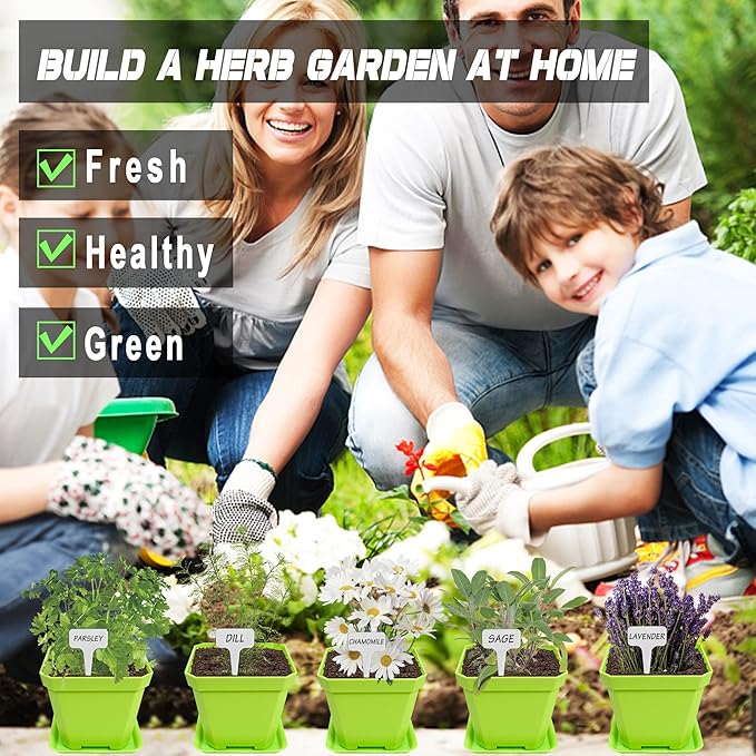 10 Herb Seeds Garden Starter Grow Kit with Green Pots, Markers, Nutritional Soil, Watering, Herb Clipper, Complete Indoor Potted Plant Growing Set for Kitchen DIY-PawvioPets