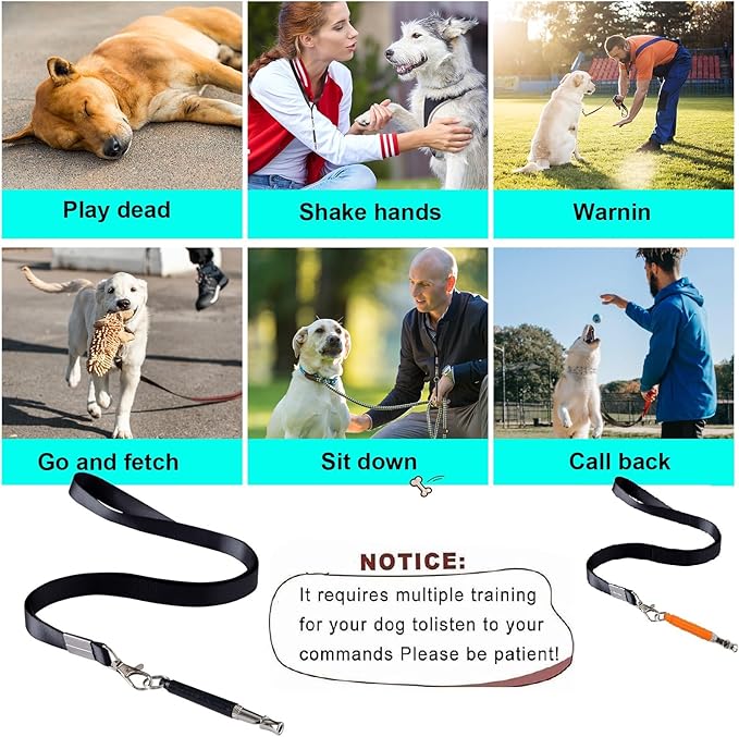 3 PCS Dog Whistles Set, Adjustable Recall Dog Training Whistle Silent Dog Whistle to Stop Barking with Lanyard,Dog Clicker(Orange)-PawvioPets