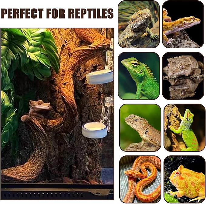 BNOSDM 2Pcs Reptile Climbing Branches Decor,Snake Climbing Branch,Gecko Climb Wood,Lizard Forest Branch,Tank Habitat Tree Trunk Decorations for Bearded Dragons,Chameleons,Spider,Frogs (M)-PawvioPets