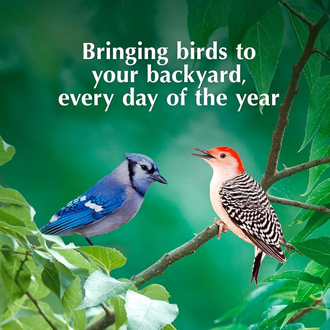 C&S Peanut Butter Delight No Melt Suet Dough, Suet Cakes for Wild Birds, 11.75 Ounces, Pack of 8-PawvioPets