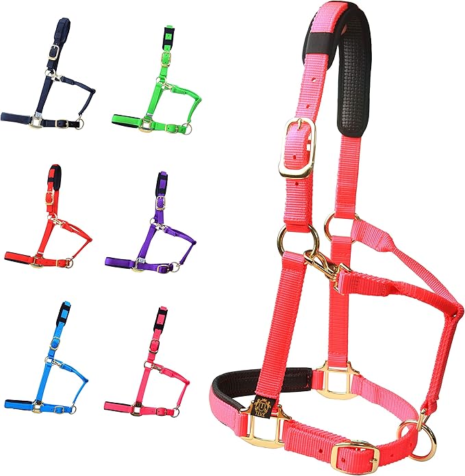 T TEKE Adjustable Horse Halters by Heavy Duty Soft Nylon, Padded with Anti-rubbing Waffle Neoprene on Both Crown & Nose-PawvioPets