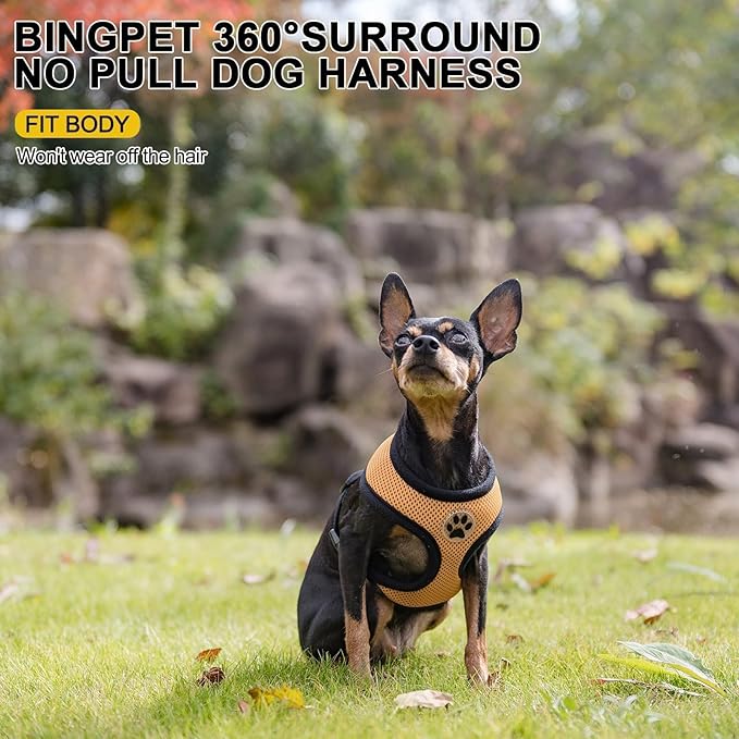 BINGPET No Pull Dog Harness, Soft Mesh Breathable All Weather Vest, Safety Protection Design, Durable Adjustable Step-in Easy Walk Dog Harness for Small Medium Large Dogs (Beige, S)-PawvioPets